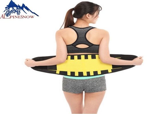 CHINA Correa colorida ajustable respirable de la ayuda de la parte trasera de la cintura de la aptitud del neopreno para el ejercicio y el deporte proveedor